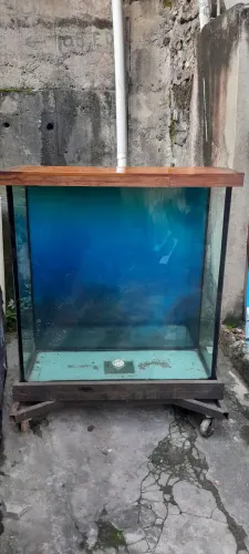 Aquário de 462 Litros 