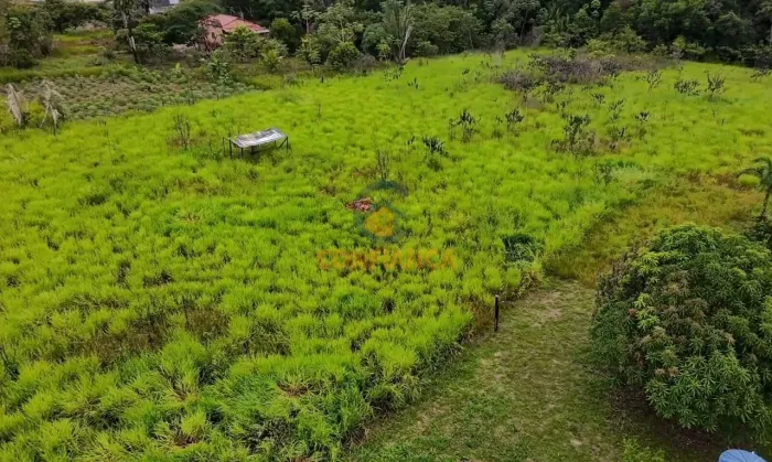 Chácara á Venda- BR 319
