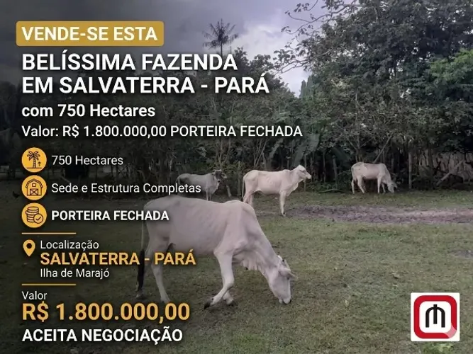 Moura Gestor Imobiliário-Vende Fazenda em Salvaterra com 750 hectares à Porteira Fechada