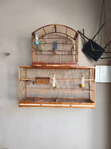 Gaiolas de passarinho.