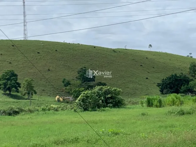 Fazenda 96 alqueires em Mimoso do Sul/ES com pecuária, energia solar, seringueira e renda