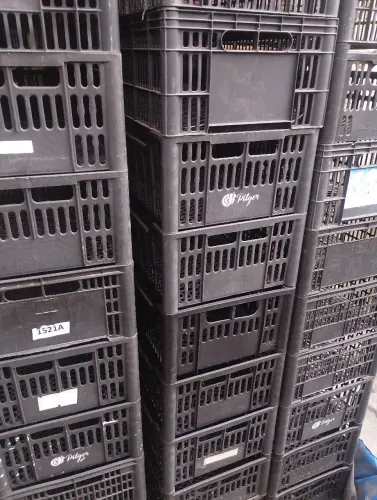 Caixa plástica organizadora