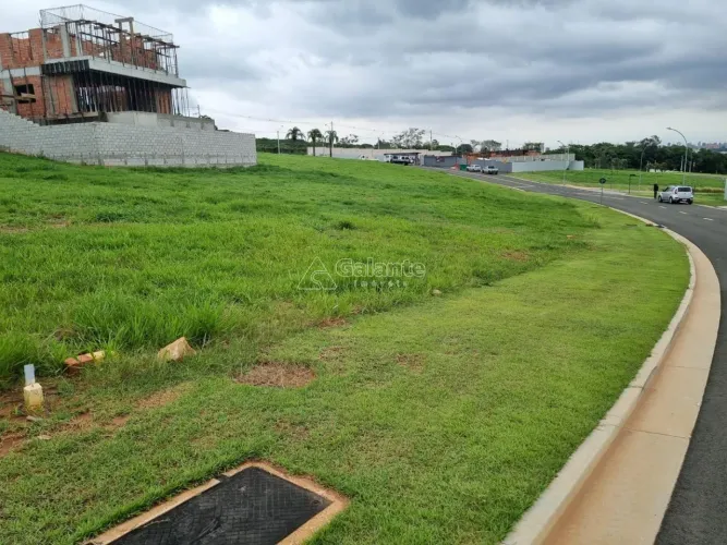 terreno - Parque São Quirino - Campinas