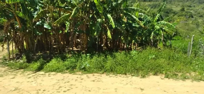 Vende-se Terreno em Triunfo PE