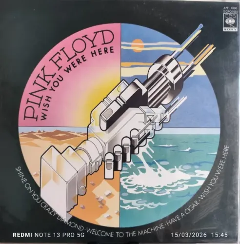 LP PINK FLOYD - WISH YOU WERE HERE - Novo - 180 gr Picture Vinyl c/ capa