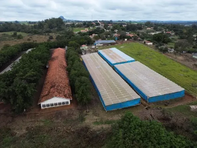 GRANJA DE ENGORDA DE GRILLER EM OPERAÇÃO À VENDA - NORTE PIONEIRO/PR