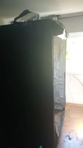 Estufa para plantio