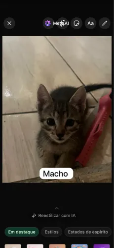 Adoção 