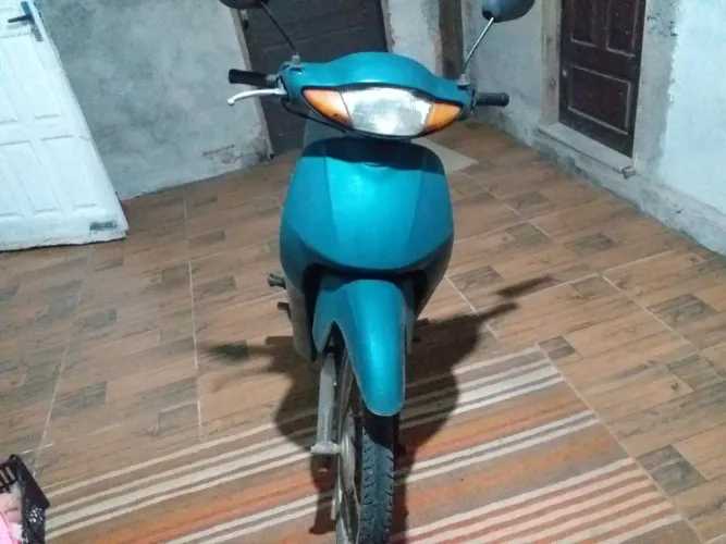 Bizc100 verde