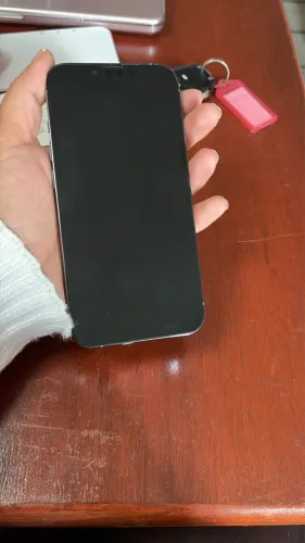 iPhone 13 Pro 