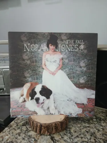 Vinil Norah Jones