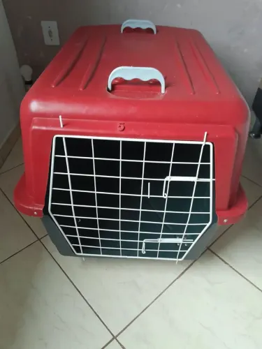 Caixa de Transporte - brinde Tapete Higiênico