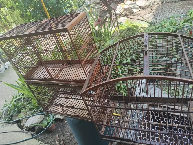 Gaiola de passarinho