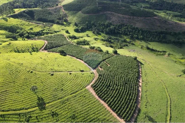 Fazenda Lambari Localização: Poços de Caldas - MG Tamanho: 430 hectares Valor: R$27.000.00