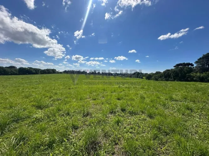 Área 48.400,00 - Campo Largo da Roseira.