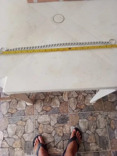 Coleira tipo enforcador.