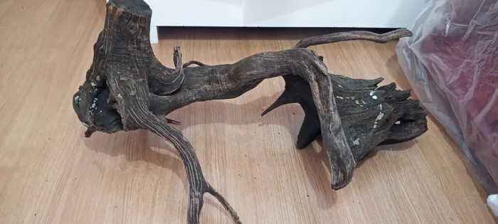 Tronco para aquario