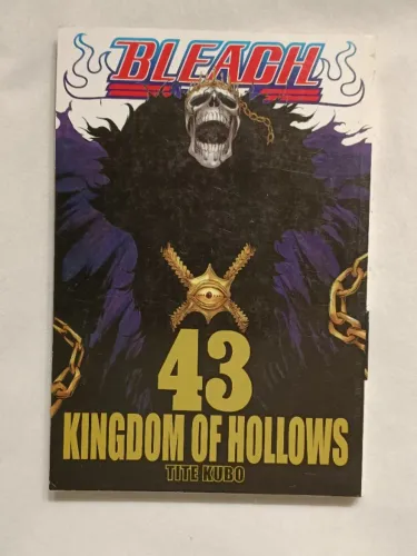 Bleach, Kingdom of Hollows Vol. 43 | Tite Kubo | Panini Comics.