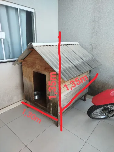 Casinha cachorro gigante 