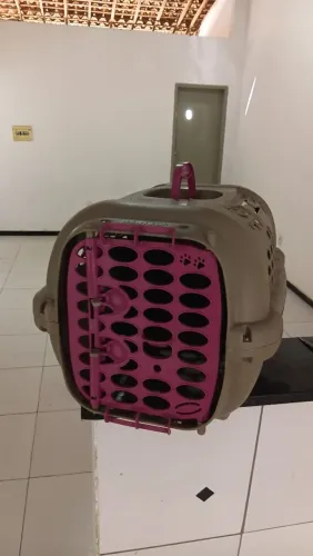 Caixa transportadora tamanho M com reservatório para gatos e cachorros