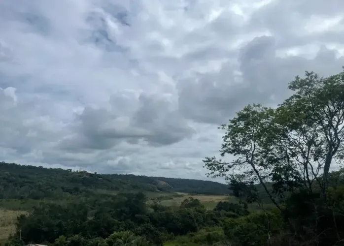 Vendo área rica em Coqueiro Seco