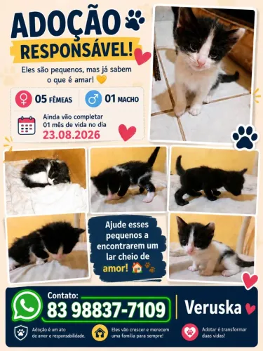 Adoção responsável.