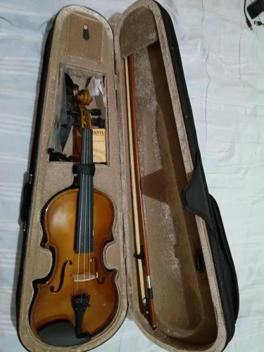 Violino