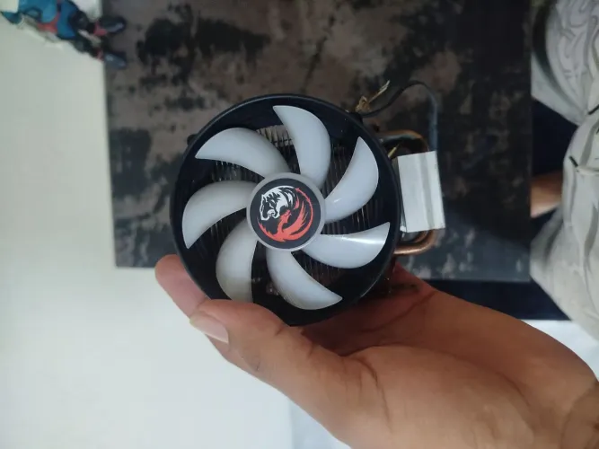 Cooler box