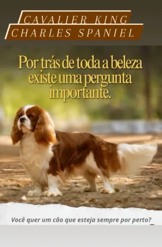 Cavalier king Charles