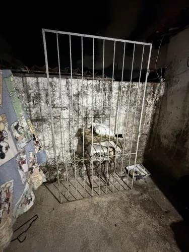 Grade portão de metal