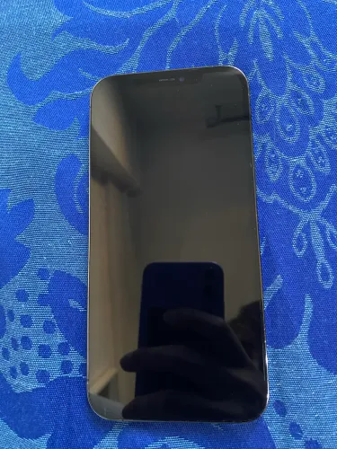 iPhone 12 Pro Max 256GB