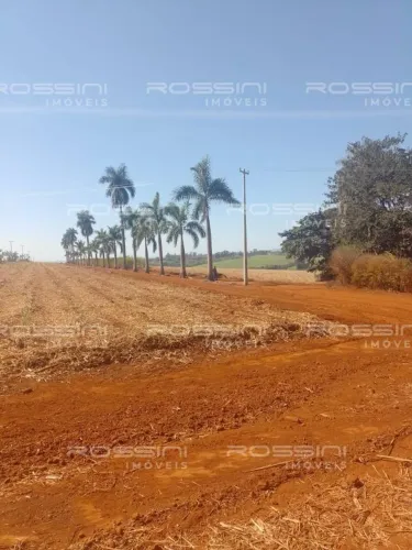 Fazenda, Coxim - MS