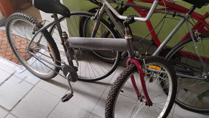 Bicicleta Maria mole 