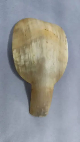 concha artesanal feita de chifre natural