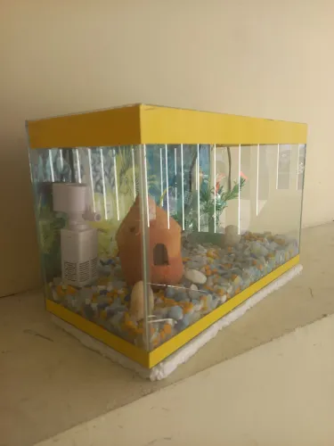 Aquário completo