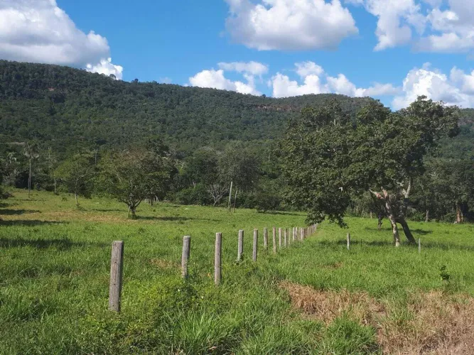 Fazenda Residencial à venda em Palmas, TO (Bairro Área Rural)