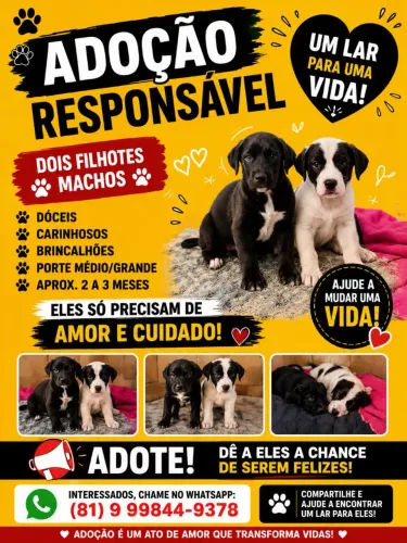 Cachorrinhos