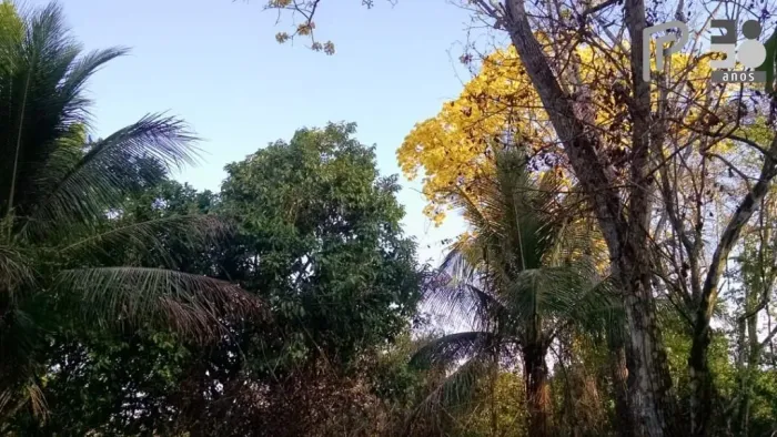Terreno à venda, 5.654.000 m² por R$ 2.500.000,00 - Centro - Santa Rita/MA