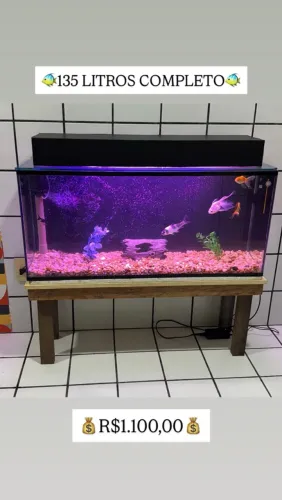 AQUÁRIO 135 LITROS COM SUPORTE 