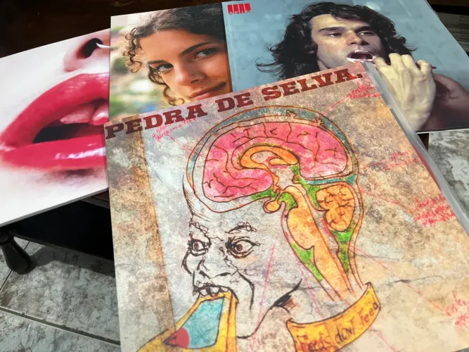 Lote quatro LPs Noize - Zé Ibarra, Céu, Catto e Curumin