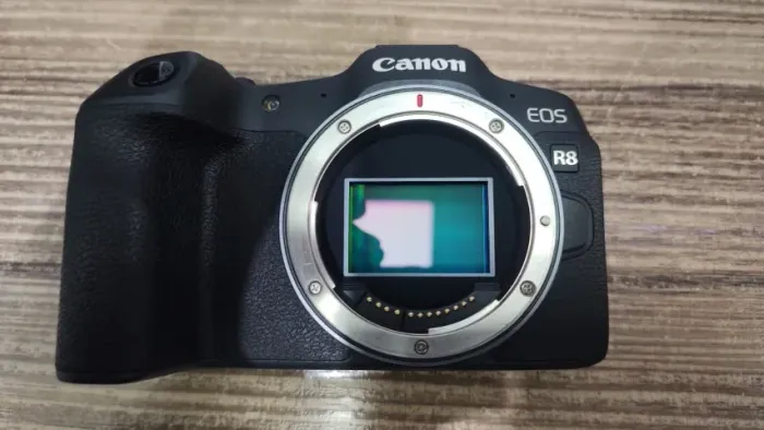 Canon R8