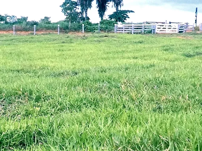 Vendo sítio em Ariquemes -Rondônia 