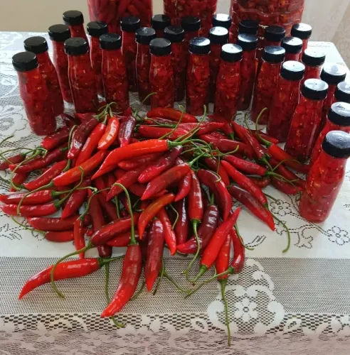 250 Gramas de Pimenta Dedo de Moça em Conserva A VERDADEIRA (Capsicum Baccatum)