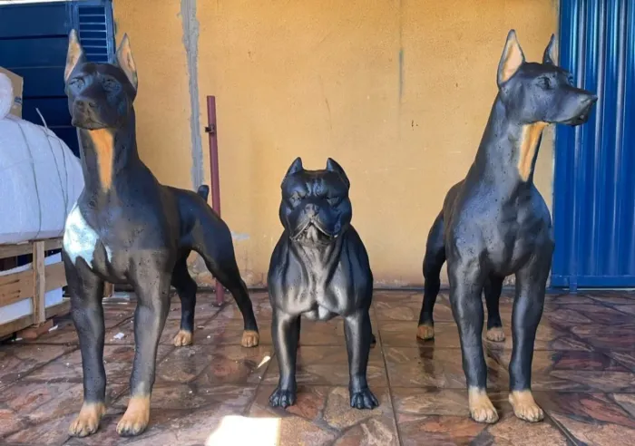 Pitbull