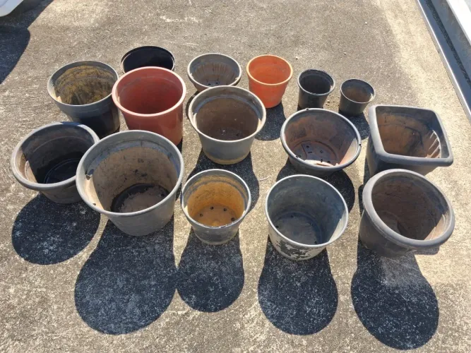 Lote de 162 vasos de plástico para plantas + base de madeira com rodizios.
