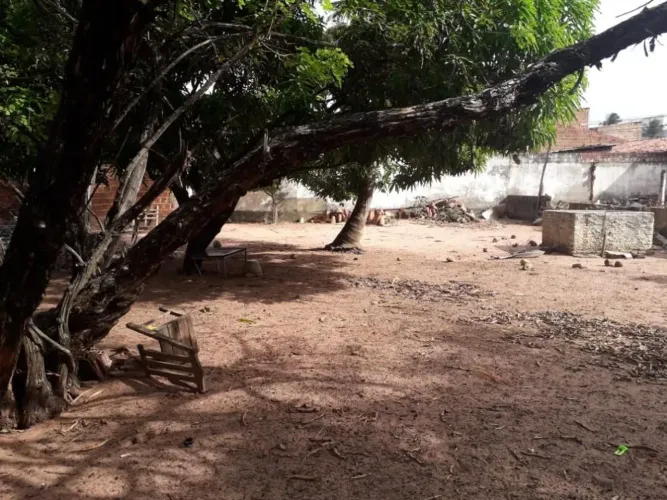 Terreno à venda, 15000 m² por R$ 6.500.000,00 - Pajuçara - Natal/RN