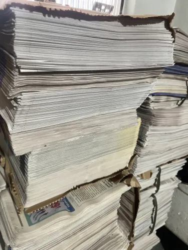 Jornal Pet