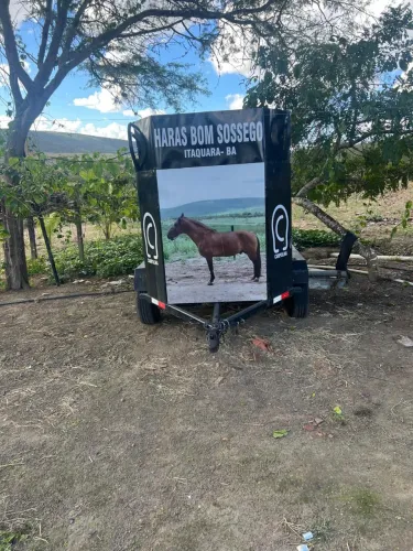 Carretinha cavalo 