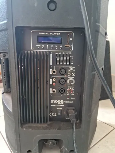 Caixa amplificada MOOG 