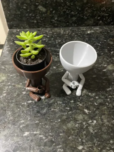 Vaso pra suculenta 3 D